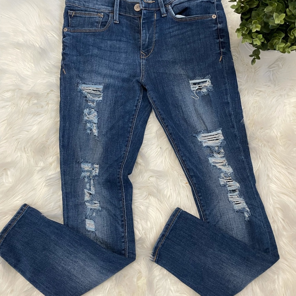 Express pants